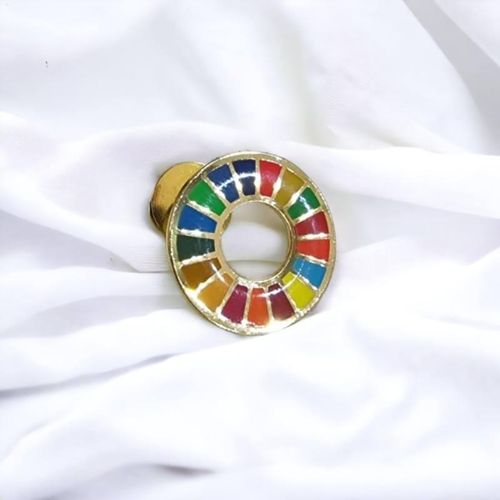 Gk Sustainable Development Goals (SDG) Lapel Pin – Multicolor UN Global Goals Badge – Ad…